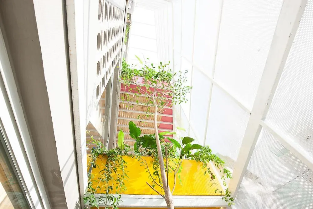 Soc House 1 Apartment Vung Tau