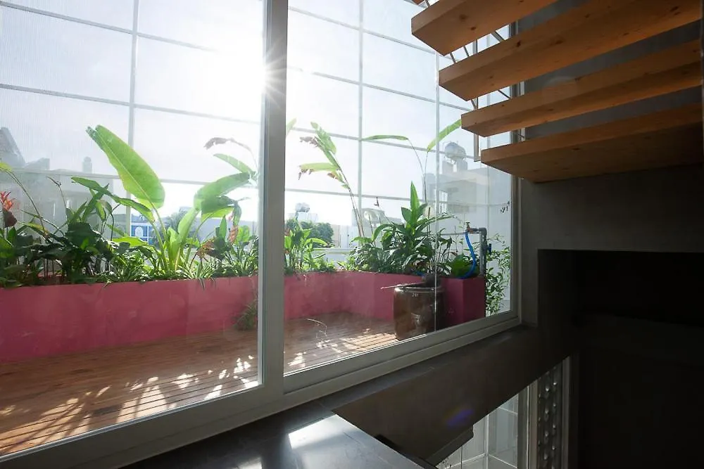 Soc House 1 Apartment Vung Tau Vietnam
